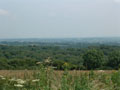 celtic park - view from the ring fort 4.jpg